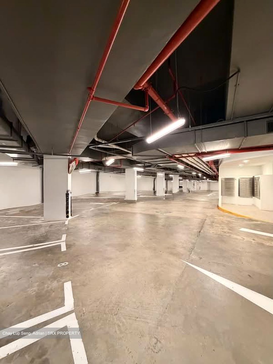 Dunearn 386 (D11), Apartment #602300321